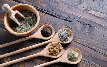 Spices for seasoning in spoons on the tableの写真素材