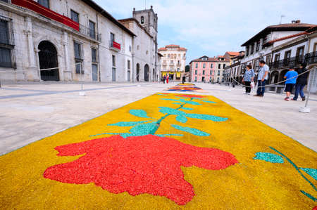 PRAVIA, SPAIN - JUNE 4: Carpets of flowers for the celebration of Corpus Christi  in June 4, 2015 in Pravia, Spain. During the past two months, fifty housewives have been working with flowers, wood chips and tinted salts.のeditorial素材