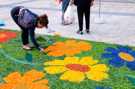 PRAVIA, SPAIN - JUNE 4: Carpets of flowers for the celebration of Corpus Christi  in June 4, 2015 in Pravia, Spain. During the past two months, fifty housewives have been working with flowers, wood chips and tinted salts.のeditorial素材