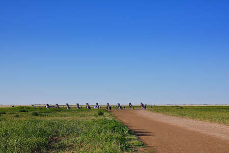 Amarillo, Texas - July 21, 2017 : Cadillac Ranch in Amarillo. Cadillac Ranch is a public art...