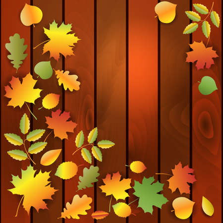 colorful autumn leaves on woodのイラスト素材