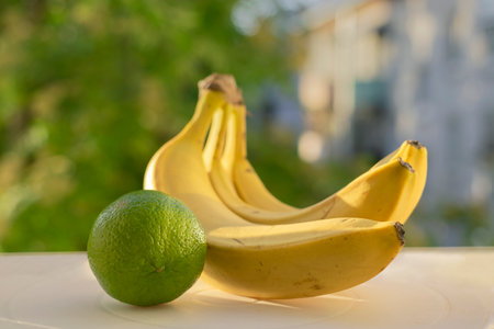 A bunch of three bananas and one green lime lie and are illuminated by the summer morning sun.の写真素材