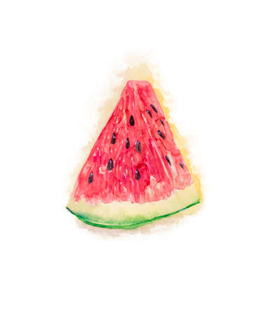 Watermelon slice painted in watercolor on a white background.の写真素材
