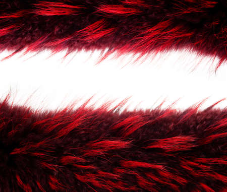Frame from two fur texture isolated on a white backgroundの写真素材