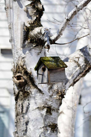 Bird houseの写真素材