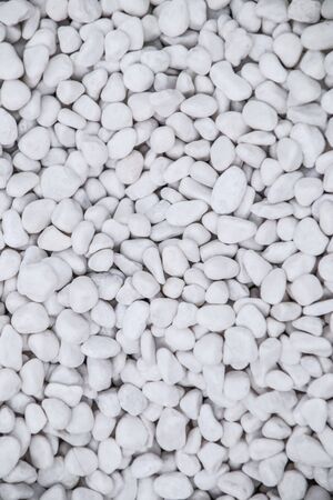White pebble stone texture and background.の写真素材