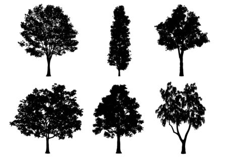 Beautiful collection tree silhouettes and cutting on a white backgroundの写真素材