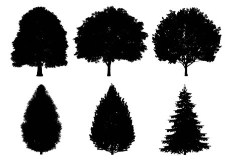 Beautiful collection tree silhouettes and cutting on a white backgroundの写真素材