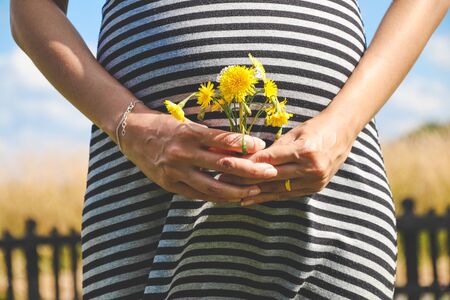 Pregnant woman hands give yellow wild flowers with sunny meadow and blue sky.Romantic and love feelingsの写真素材