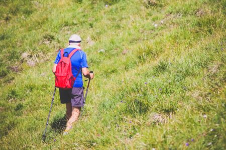 old man hiking in the forest in the summer.の写真素材