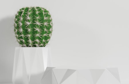 White prism podium for product presentation and cactus on white wall background minimal style.,3d model and illustration.の写真素材