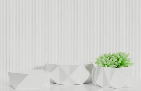 White prism podium for product presentation and cactus on white serrated wall background minimal style.,3d model and illustration.の写真素材