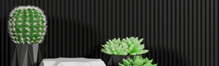 White prism podium for product presentation and cactus on black serrated wall background minimal style.,3d model and illustration.の写真素材
