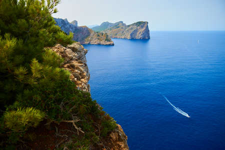 View from the top of a cliff with pines to the sea