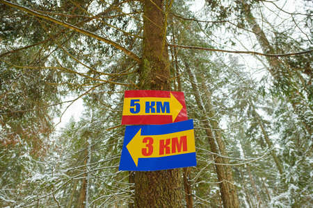 Direction signs with yellow arrows to three and five kilometers on a winter forest background