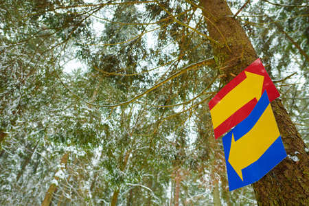 Direction signs with yellow arrows on a winter forest backgroundの写真素材