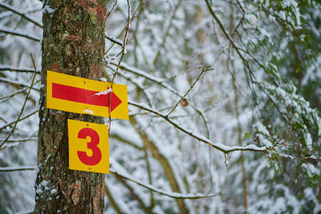 Yellow direction with red number three and arrow on winter forest backgroundの写真素材