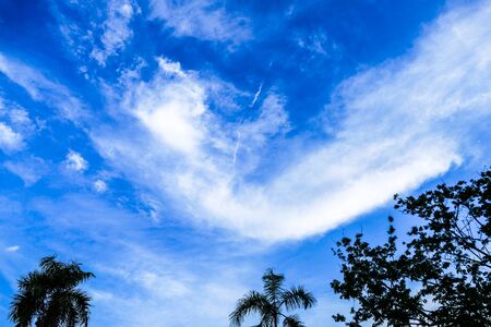 White clouds in the blue skyの写真素材