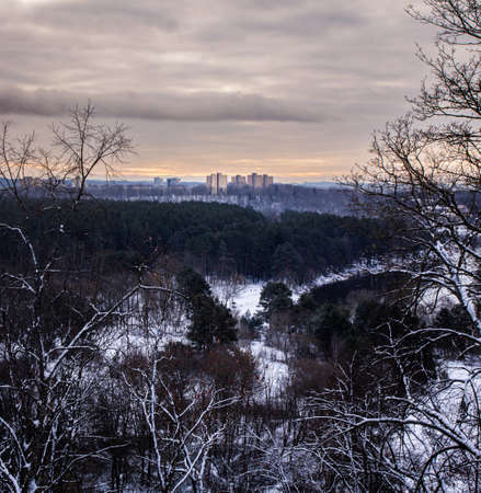 Aerial view of the city in winter with snow covered trees.