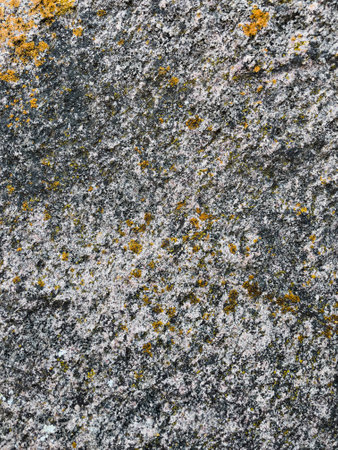 Granite texture with yellow moss. Abstract background and texture for design.の写真素材