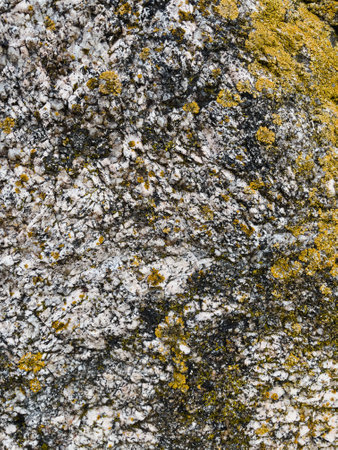 Texture of stone with yellow lichen and moss. Abstract background for design.の写真素材