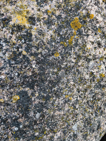 Granite texture with yellow lichen and moss. Abstract background and texture for design.の写真素材