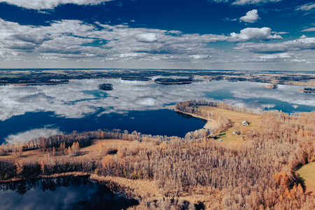 Aerial view of a small lake in the middle of the forest
