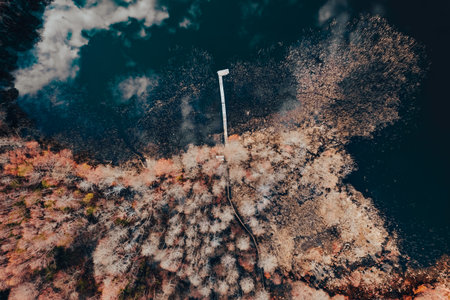 Aerial view of a bridge over lake in autumnの写真素材