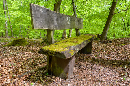 old bank covered with moss in the woodsの写真素材
