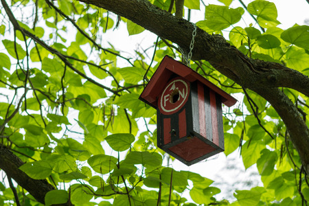 A bird table hanging from a branch with the colors of the football club 1. FCN from Nurembergのeditorial素材