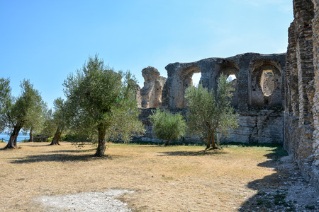 Trees in front of the Grotto di Catullo near Sirmione at lake Garda in the sunのeditorial素材
