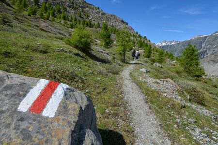 Trail down to the Aletsch glacier in Switzerland on a sunny day