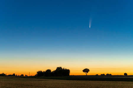 The comet Neowise in the sky in 2020 before dawnの写真素材