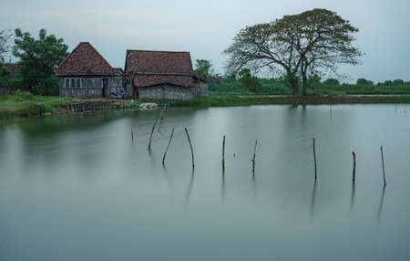 House and Ponds Sedati Sidoarjoの写真素材