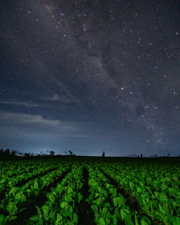Milkyway in Cangar Batu Malang East Java Indonesiaのeditorial素材