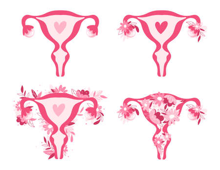Female reproductive system set. Hand drawn uterus, womb female reproductive sex organ and flowers....
