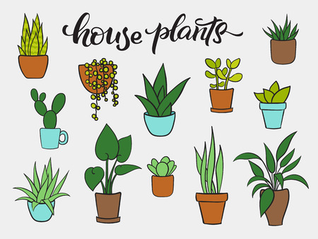 Set vector of houseplants in pots. Hand drawn cartoon collection of house plants. Lettering house plants. Vector illustrationのイラスト素材