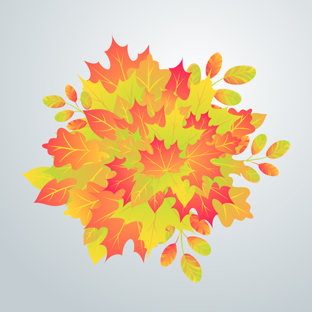 Autumn foliage, bright background with colorful leaves.のイラスト素材
