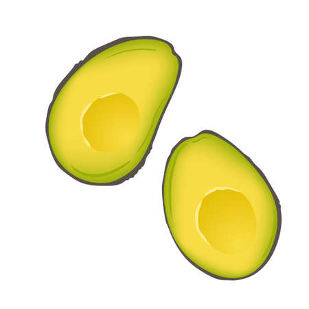 Brown mature Haas avocado cut in half isolated on white background. Two slices of avocado. Avocado vector illustration.のイラスト素材
