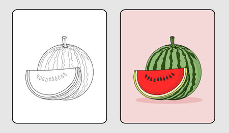 watermelon coloring book or educational pages for kidsのイラスト素材