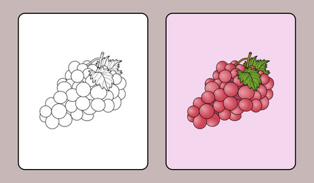 grape coloring book or educational pages for kidsのイラスト素材