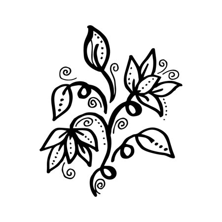 Hand drawn vector design floral elementsのイラスト素材