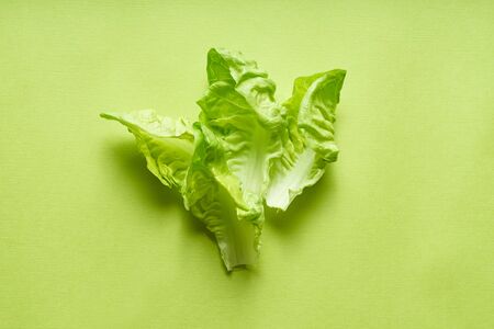 Salad flat design. Creative flatlay with romaine leaves arranged on green background. Healthy vegan food concept. Organic nutritionの写真素材