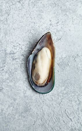 Raw kiwi mussels on textured light colored backgroundの写真素材