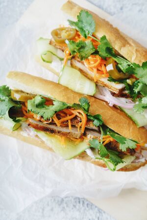 Close up of classical banh-mi sandwich with sliced grilled pork tenderloin, shredded carrots and peeled cucumbers, jalapeno peppers and cilantro on white textured backgroundの写真素材