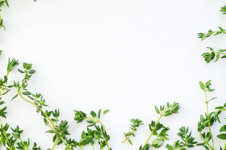 Close up shot with thyme leaves and twigs arranged on white background with text space. Selective focusの写真素材