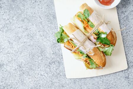 Classical banh-mi sandwich with sliced grilled pork tenderloin, shredded carrots and peeled cucumbers, jalapeno peppers and cilantro. Top view, copy spaceの写真素材
