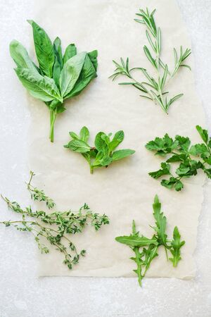 Fresh culinary herbs on white background: rosemary, thyme, mint, arugula, basil and parsley in small bunchesの写真素材