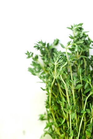 Macro image of bunch of fresh thyme on white background. Selective focusの写真素材