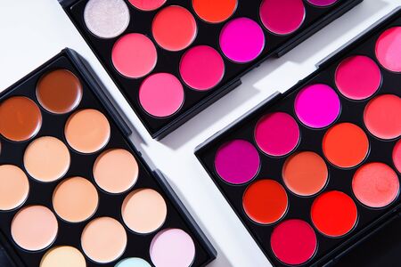 Various lipstick and eye concealer palettes with lots of colors isolated on white background. Make-up artist kit conceptの写真素材